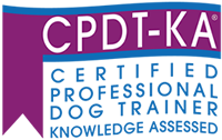 CPDT Logo